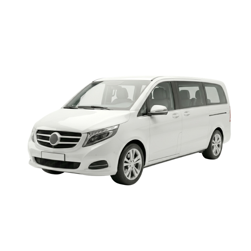Van / Traveller
